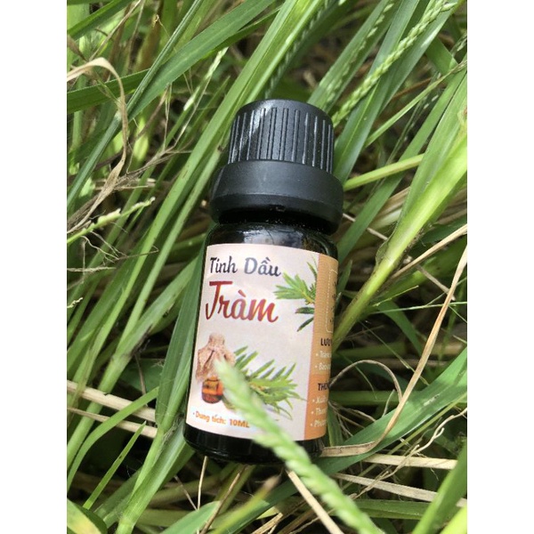 TINH DẦU TỰ NHIÊN 100% NGUYÊN CHẤT 10Ml