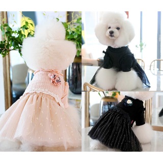 Váy xoè công chúa cho chó mèo, hàng order vui lòng chat hỏi trước khi đặt hàng