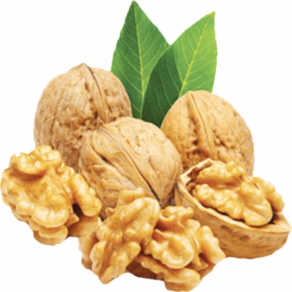Nhân Óc chó Hartley Mỹ 500g