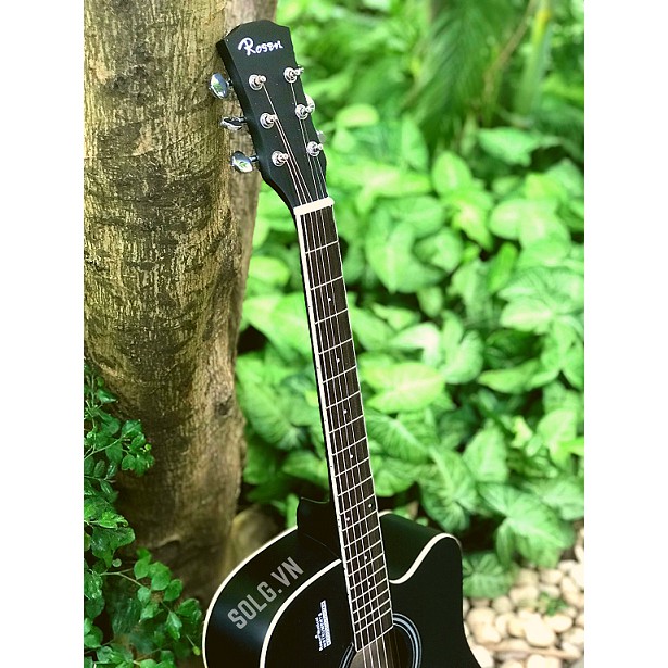 Đàn Guitar Rosen R135 Có EQ Chính hãng - Phân phối SOL.G