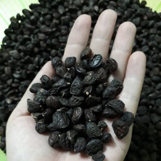 Hạt dổi rừng - 250.000₫/1 lạng