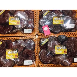 Nấm linh chi đỏ dạng khay Hàn Quốc