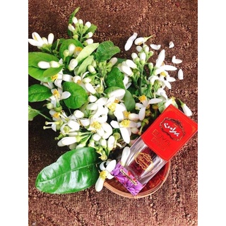 SAFFRON BAHRAMAN - TÂY Á - Hộp 1g