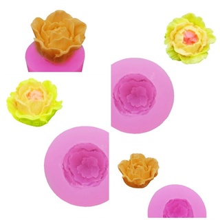 Khuôn Silicone Hoa Cẩm Chướng Thái Bộ 2 Hoa 4Cm 5 Cm