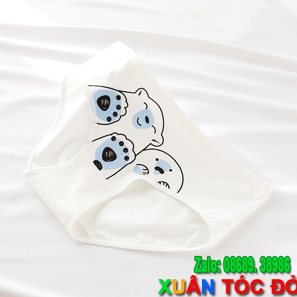 SỈ ZALO RẺ HƠN NHIỀU_ Quần Lót 5 Kiểu Gấu Trắng Kute Mới N043 | BigBuy360 - bigbuy360.vn