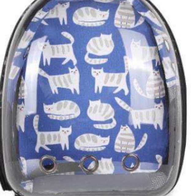 Balo trong suốt hoạ tiết mèo