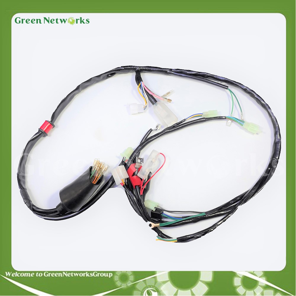 Bộ dây điện sườn cho xe Super Dream - Greennetworks