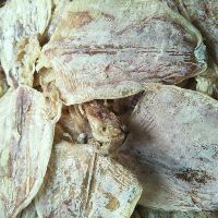 500gram mực khô mini y hình