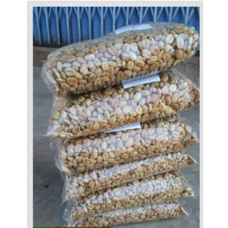 1KG HẠT GIỐNG CÀ PHÊ XANH LÙN