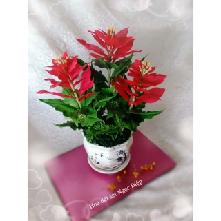 KHUÔN HOA TRẠNG NGUYÊN( CÓ LINK HƯỚNG DẪN )