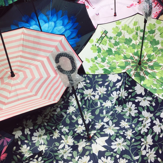 Ô ngược đi mưa