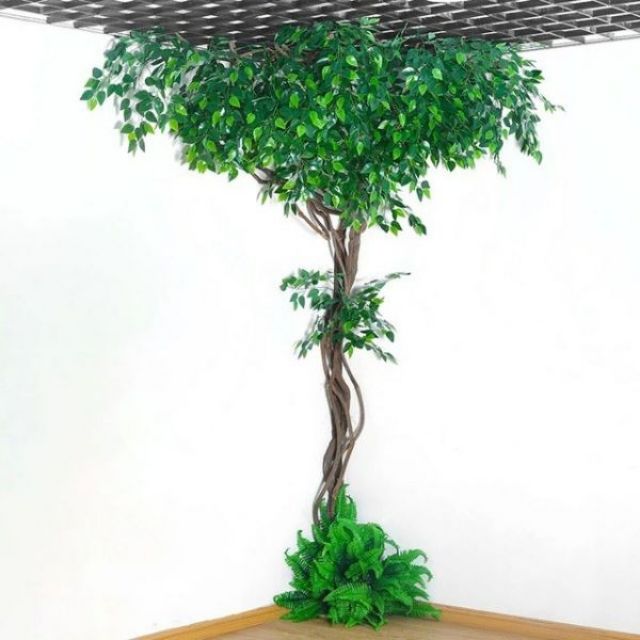 Sỉ 10 cành lá si xanh làm cây giả