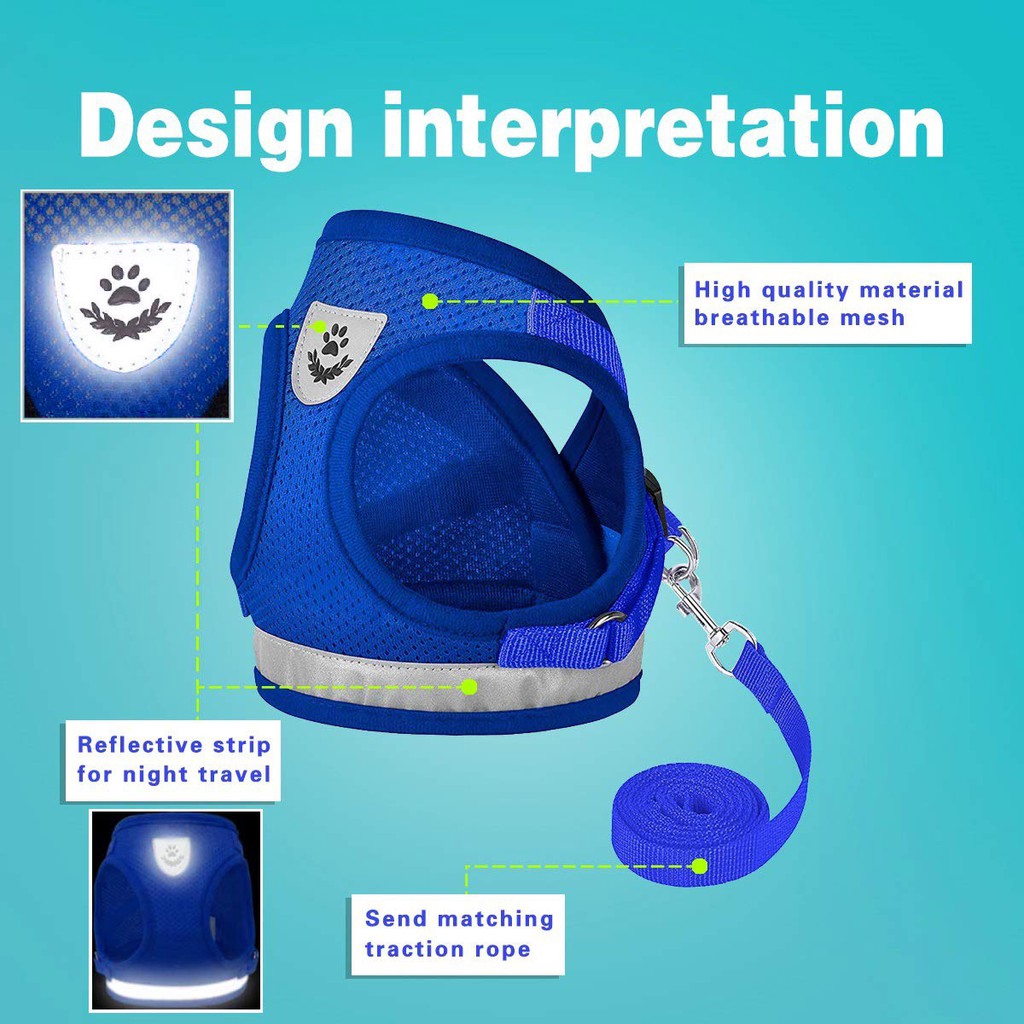 Dây dắt thú cưng đi dạo màu dạ quang tiện dụng