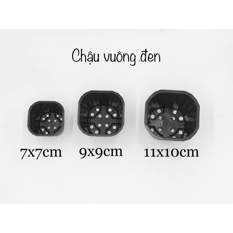 CHẬU NHỰA 7X7CM