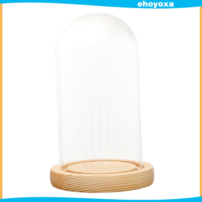Hộp kính trong suốt trưng bày lọ có đèn LED và đế gỗ mộc mạc