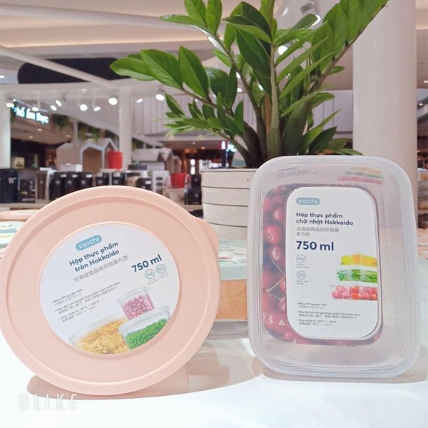 [6size] Hộp Đựng Thức Ăn, Hộp Bảo Quản Thực Phẩm An Toàn Nhựa Loại Tròn Inochi | BigBuy360 - bigbuy360.vn