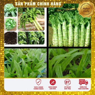 Hạt Giống Rau Diếp Tây (1gr)
