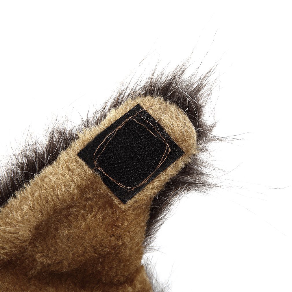 Tóc giả hóa trang Halloween cho thú cưng