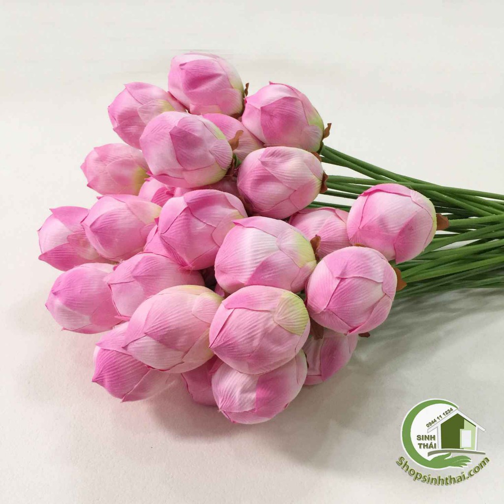 Cành hoa sen giả - cành sen vải lụa cao cấp