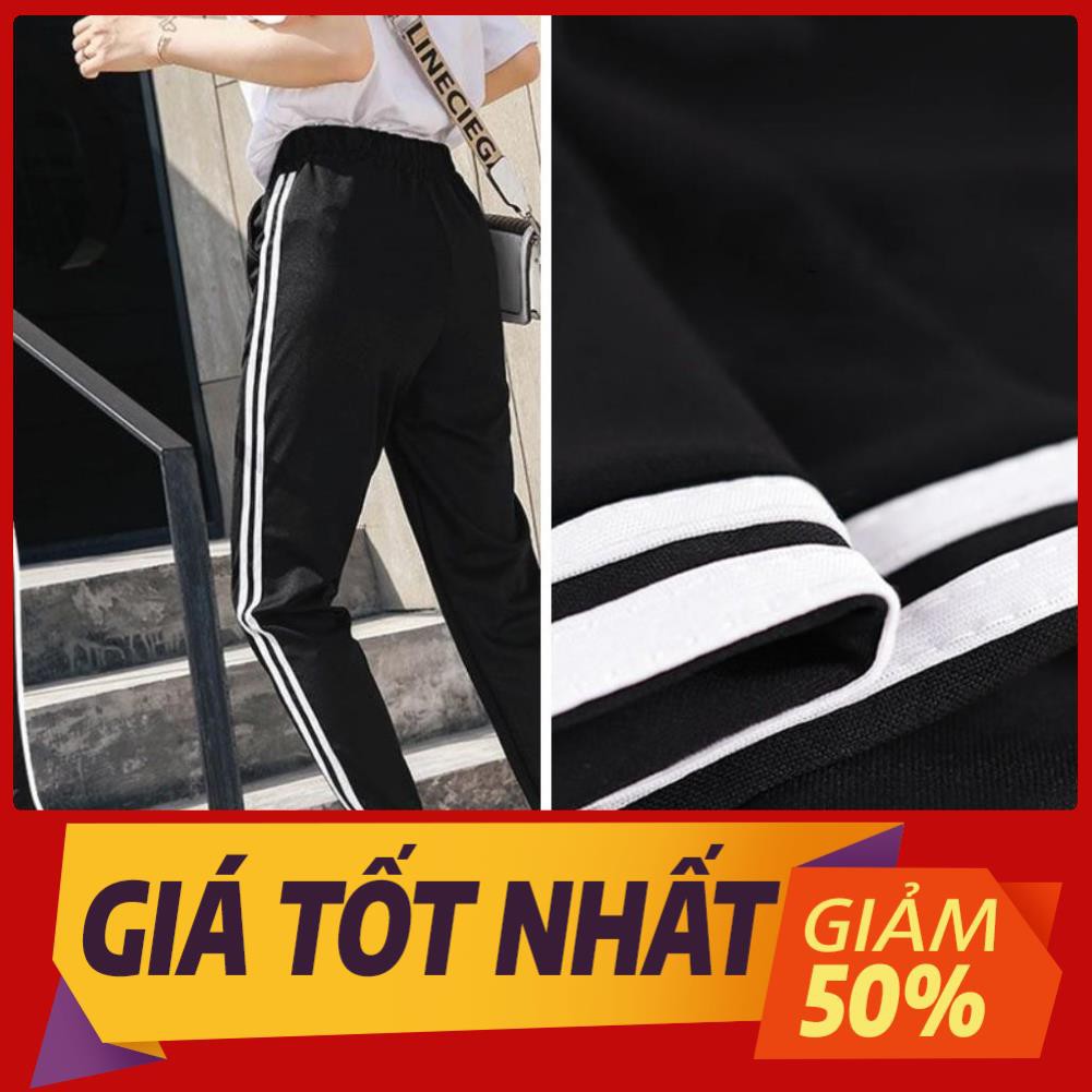 Set Đồ Thể Thao Năng Động Unisex Quần Jogger Phối Thun Unisex Gấu Tai Dày S10 Có Big Size