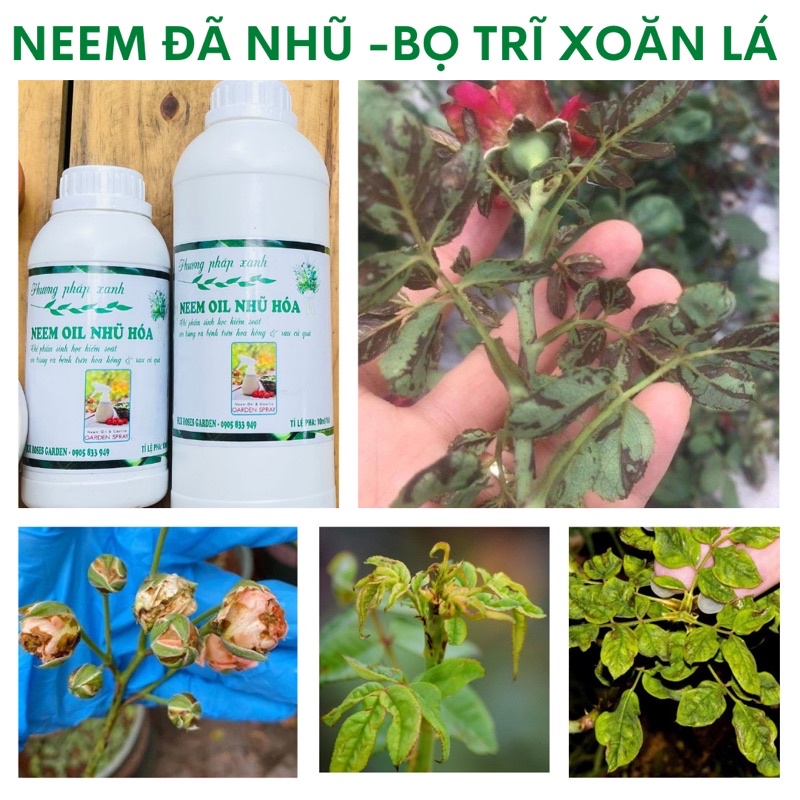 NEEM ĐÃ NHŨ HOÁ SZ 500ml (cho ra 50lit phun)