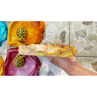 Chén ăn +máng nước cho Rùa và bò sát.