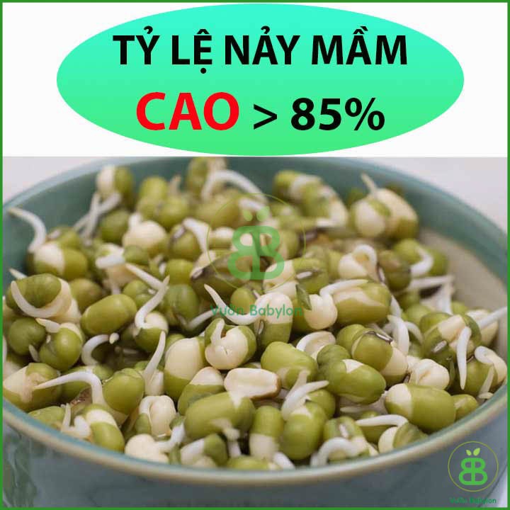 Hạt Giống Mầm Giá Đậu Xanh Dễ Trồng 100gr