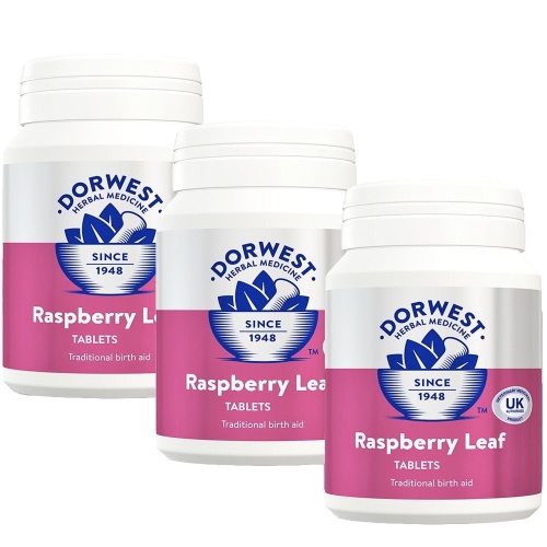 Raspberry Leaf - Dưỡng thai cho chó & mèo 100; 200 & 500 viên