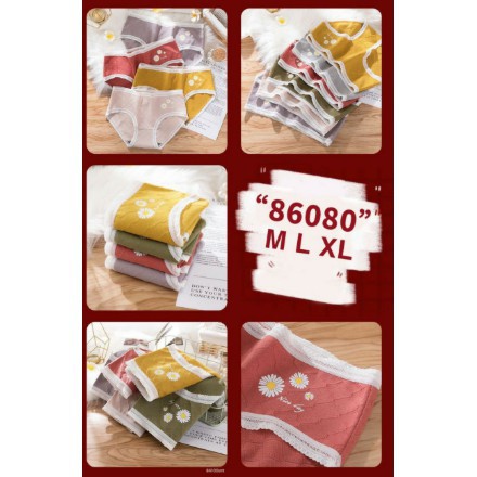 MỚI NHẤT*Quần lót cotton thông hơi cúc họa mi kháng khuẩn