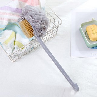 CÂY CỌ LƯNG 2 MẶT XUẤT NHẬT LOẠI 1