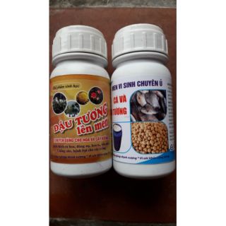 Bộ đôi men vi sinh ủ cá, đậu tương lên men