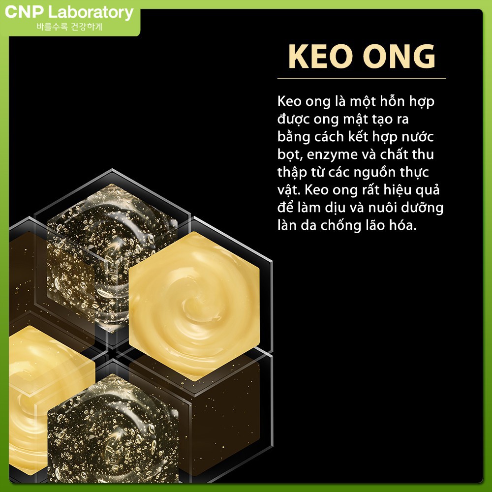 [Lọ 5ml] Tinh chất keo ong tái tạo phục hồi da CNP Laboratory Propolis Energy Ampule 5ml