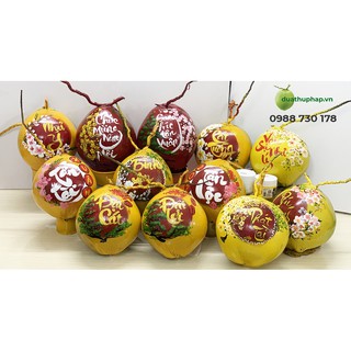 Dụng cụ vẽ dừa thư pháp chưng tết - Combo 2