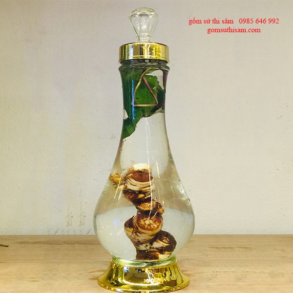 Bình thủy tinh ngâm rượu Việt Nam 1.5 Lít ngâm sâm, đinh lăng, táo mèo, linh chi