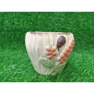 Chậu sen đá size 8cm