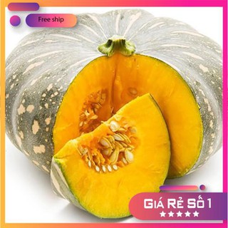 Hạt giống bí đỏ (10 hạt)