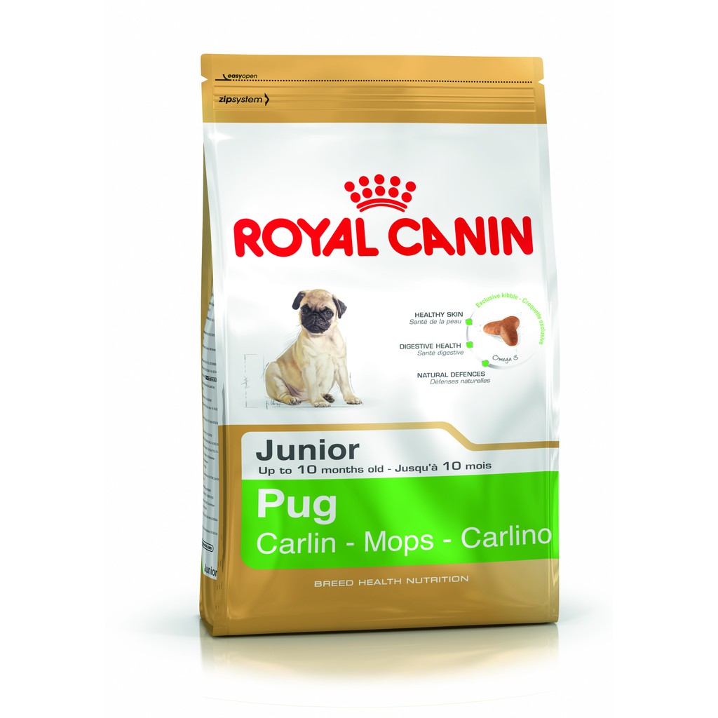 Thức ăn hạt khô dành cho giống chó Pug từ 2 - 10 tháng tuổi Pug Junior Royal Canin