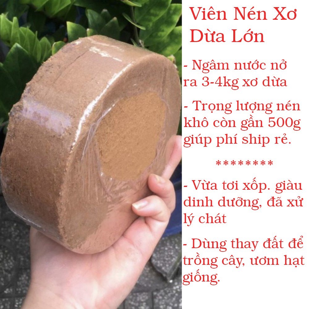 Đất nén hữu cơ mùn xơ dừa trồng cây - viên lớn Seed Land