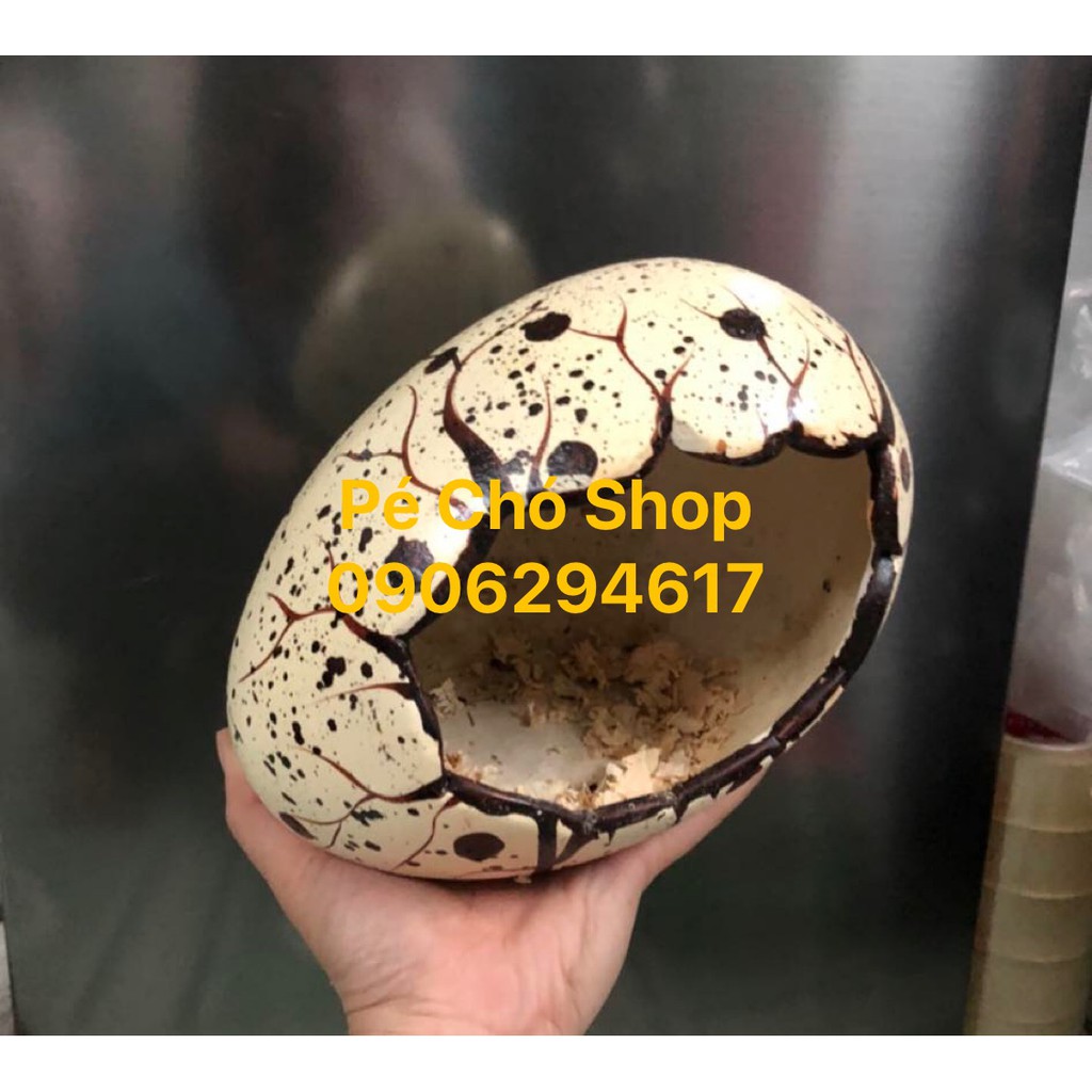 Nhà ngủ Trứng Khủng Long bằng sứ cho hamster,nhím,bọ ú .