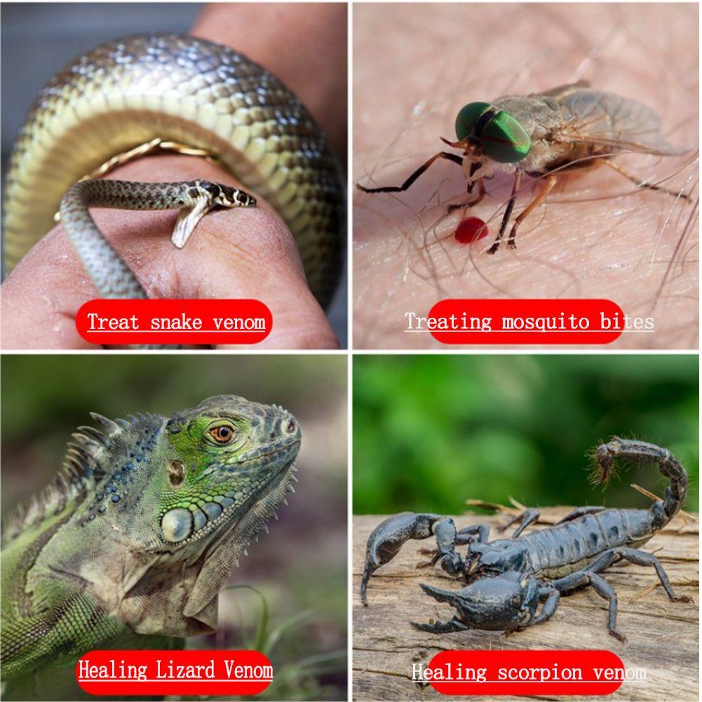 Wttle Bộ Dụng Cụ Nọc Côn Trùng Cắn Mini Có Giác Hút Giúp Giảm Ngứa