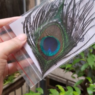 Lông công ốp điện thoại/ipad,mtb
