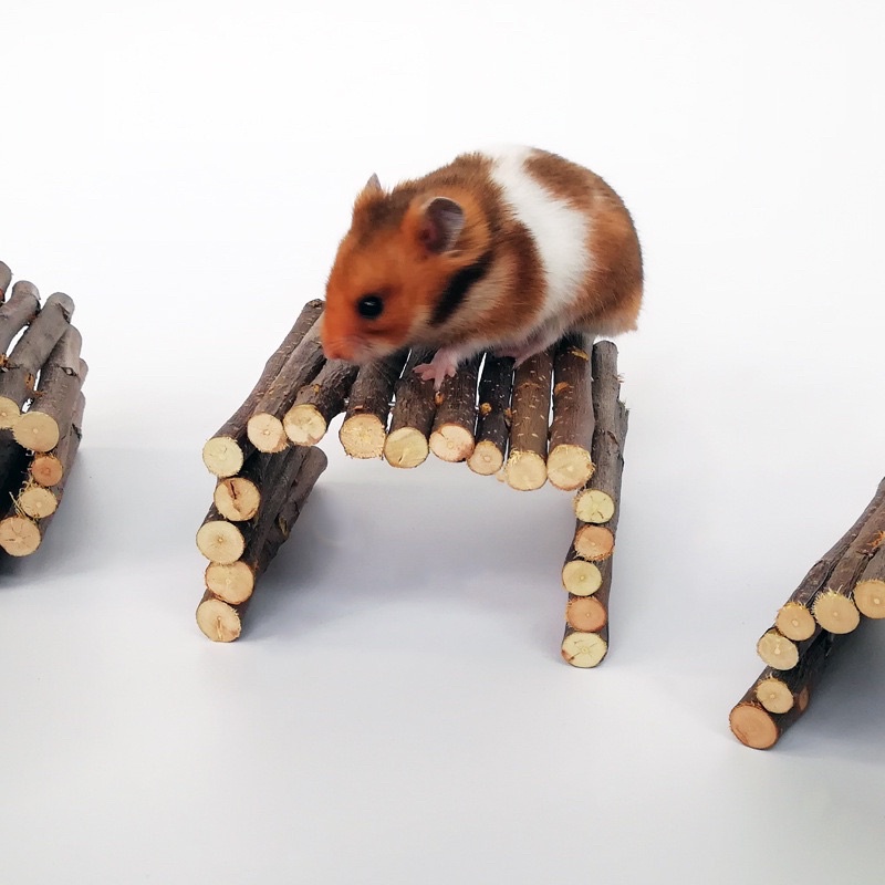 Thang gỗ uốn. Cầu gỗ uốn nguyên bản dùng trang trí chuồng cho hamster