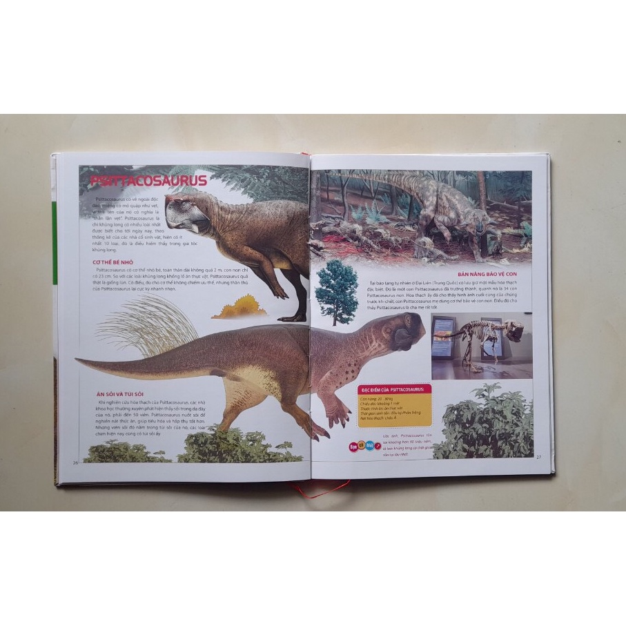 Sách- Atlas Động Vật - Vương Quốc Khủng Long