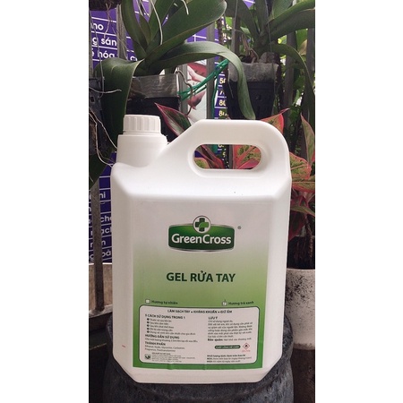 Gel /DD Rửa Tay GREEN CROSS Diệt Khuẩn Hương Trà Xanh xả kho 5 lít