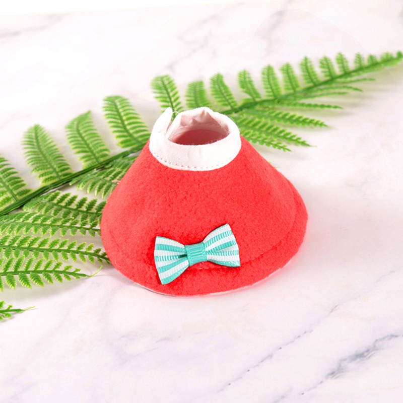 Vòng Cổ Bằng Lông Vũ Hình Nón Phục Hồi Chức Năng Cho Chim Vẹt