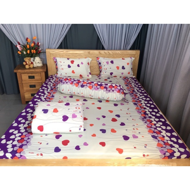 Trọn bộ ga- áo gối thun lạnh mẫu rất đẹp