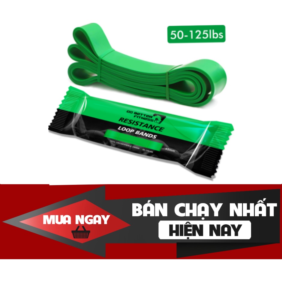 Dây Kháng Lực Resistancce Loop Band Đa Năng Hỗ Trợ Tập Luyện gym, Hỗ Trợ Lên Xà siêu bền