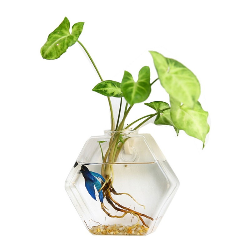 Bình Hoa Thủy Tinh Trong Suốt Hình Lục Giác Treo Tường Trang Trí Nội Thất DIY