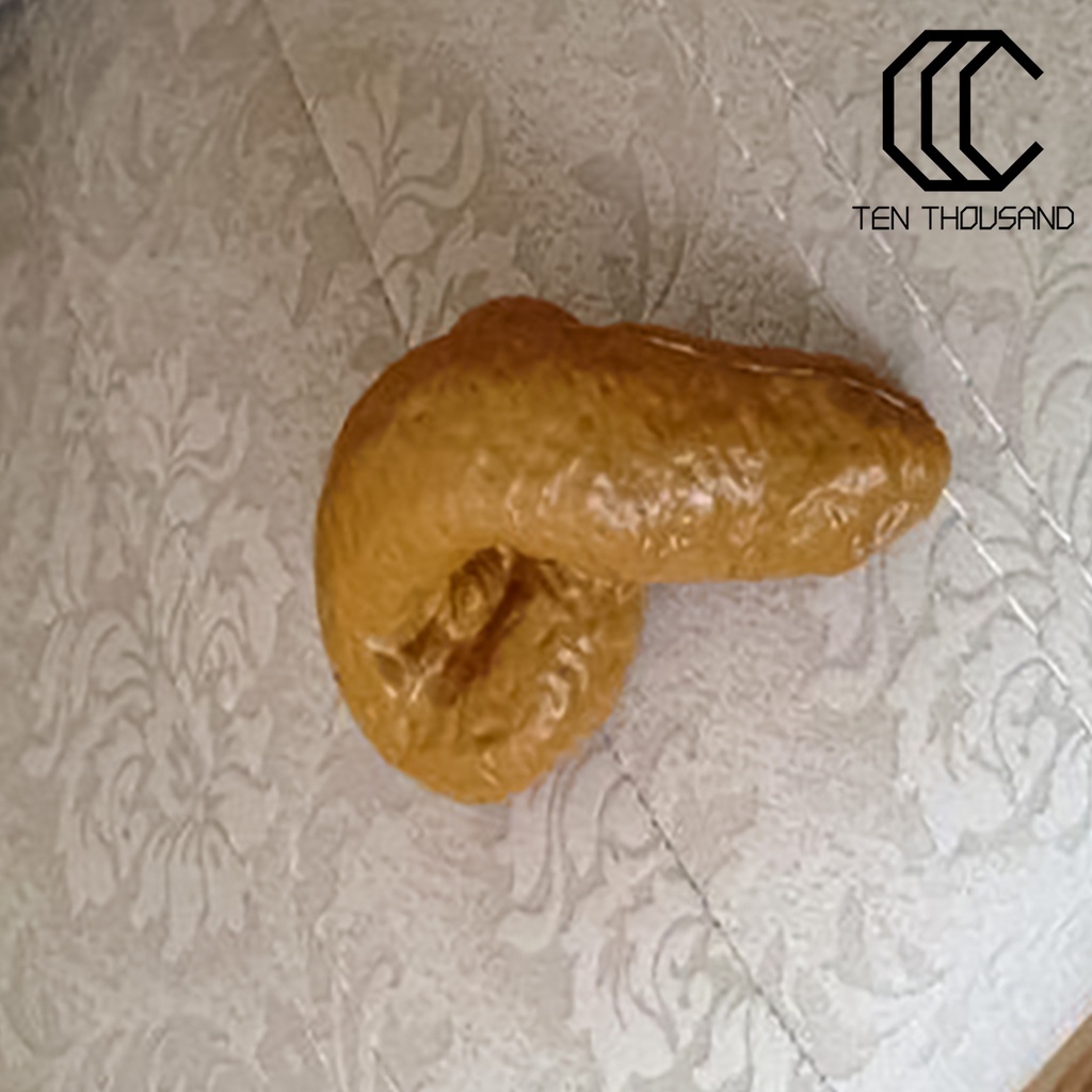 ♋Nhánh Cây Giả Thiết Kế Như Thật Dùng Làm Đạo Cụ Chụp Ảnh