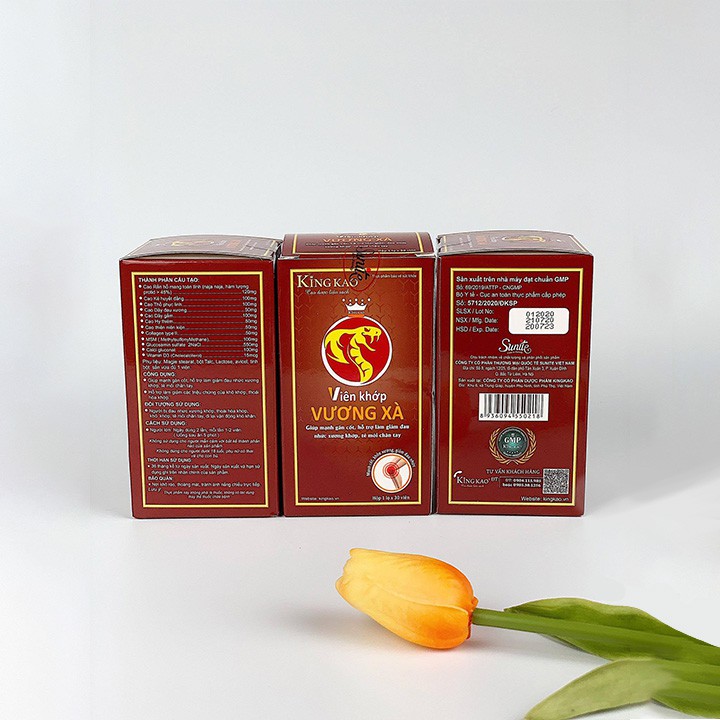 Viên Hỗ Trợ Giảm Đau Xương Khớp Vương Xà Cao Rắn Hổ Mang Toàn Tính 120mg